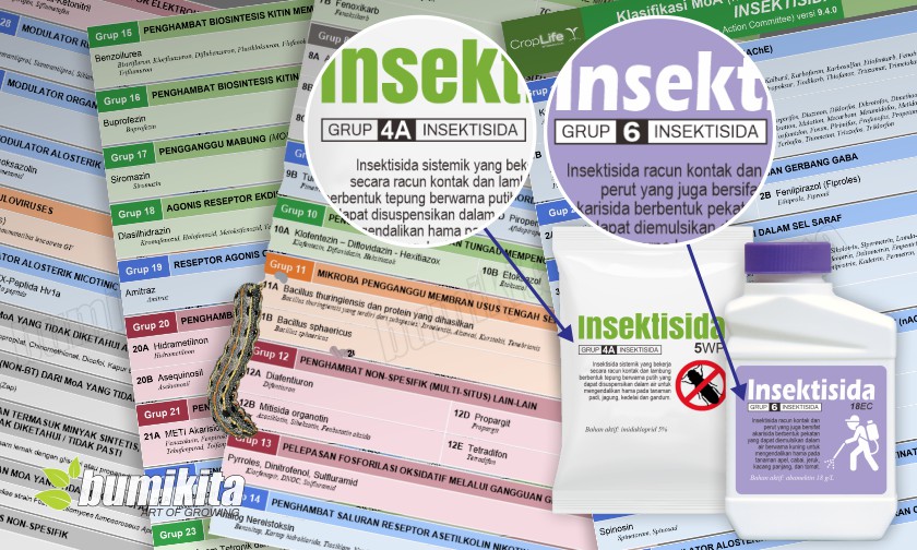 Kenali Cara Kerja Insektisida untuk Cegah Resistensi